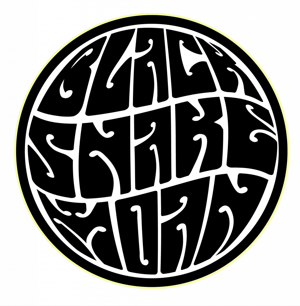 BSM LOGO NERO copia